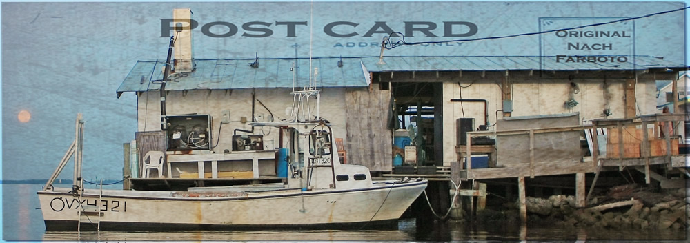 St James City Fish House St James City Florida Fish House